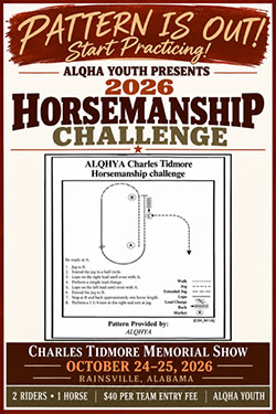 Horsemanship Challenge